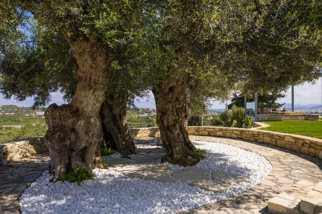 OliveNest Chania | Luxury Villa Complex Perivólia Extérieur photo